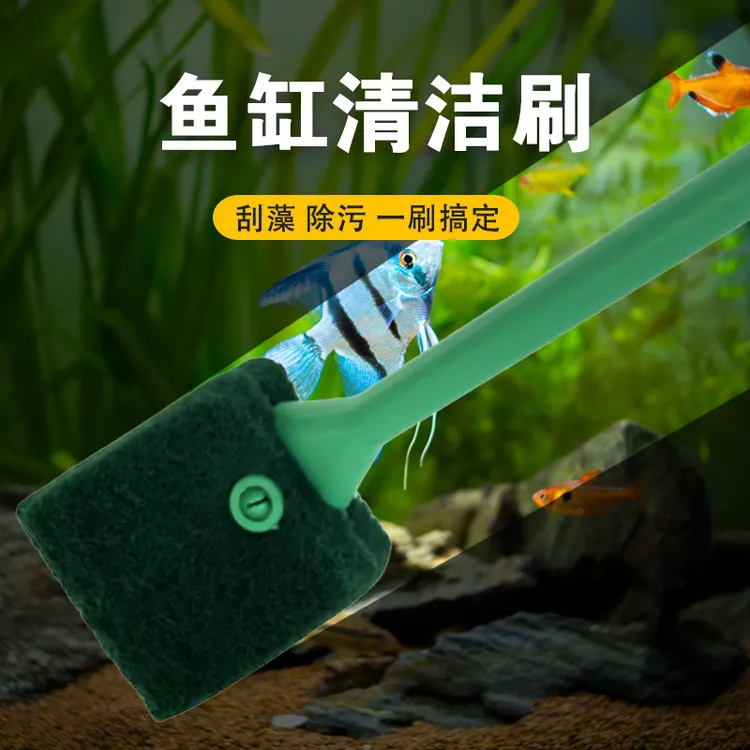 鱼缸刷长柄刷子双面清洁水族箱龟缸洗玻璃内壁专用清洁除藻工具