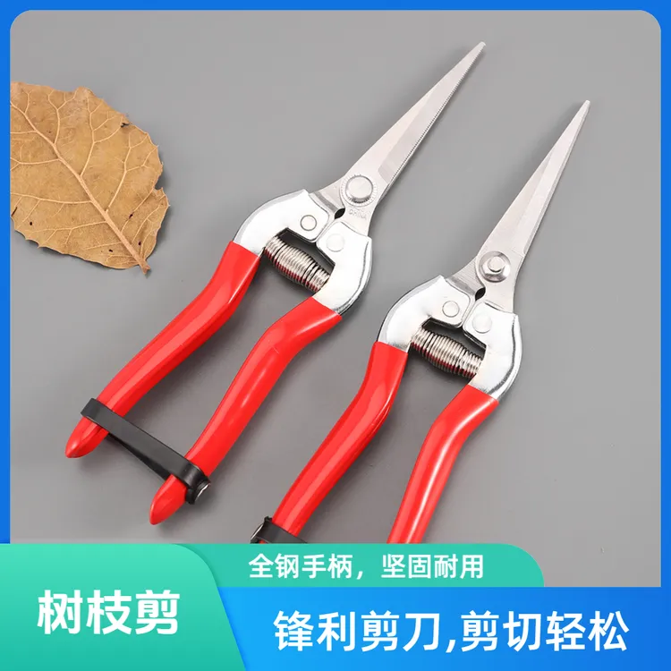 果园采摘剪刀稀果剪稀花剪园艺修枝剪省力剪刀花艺剪不锈钢摘果剪