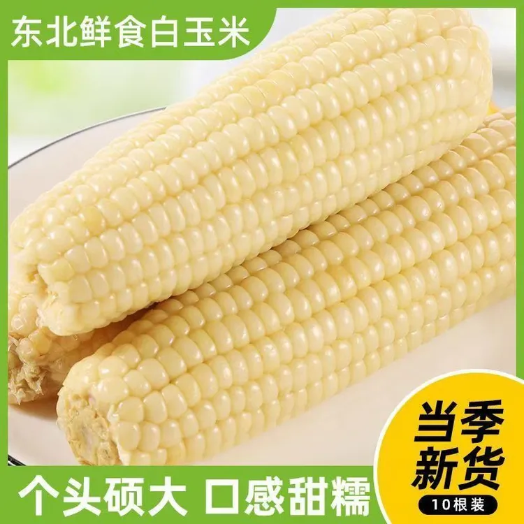 东北玉米苞米代餐减脂真空新鲜糯玉米糯玉米