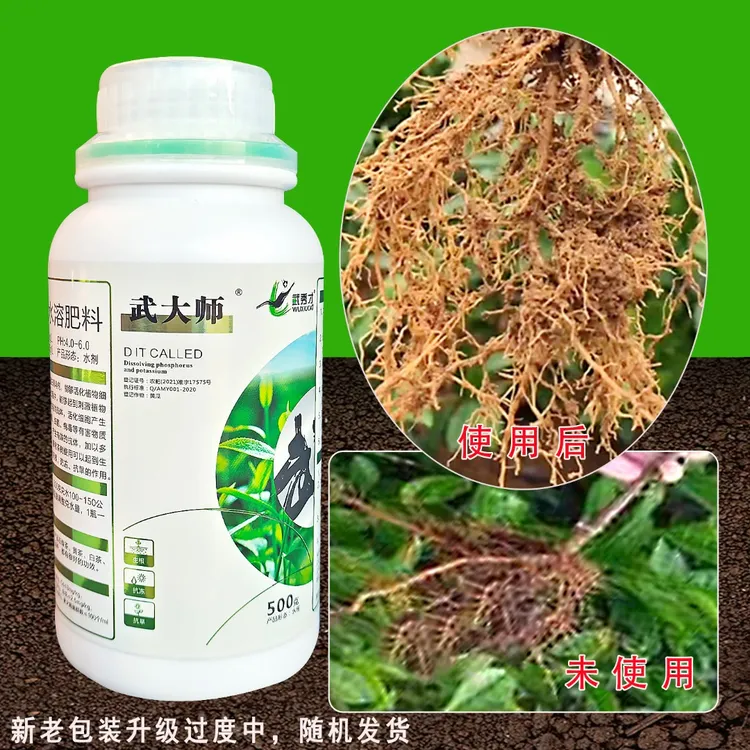 武大师茶树专用移栽抗冻抗旱抗逆水溶肥促进生长 生根剂 升级根系