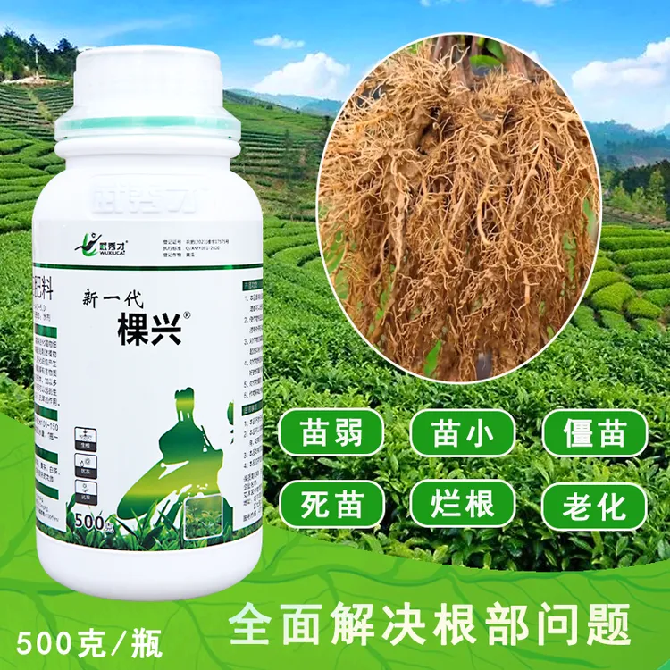 棵兴茶树移栽养根专用微生物菌剂快速用药调节土壤水溶肥根系生长