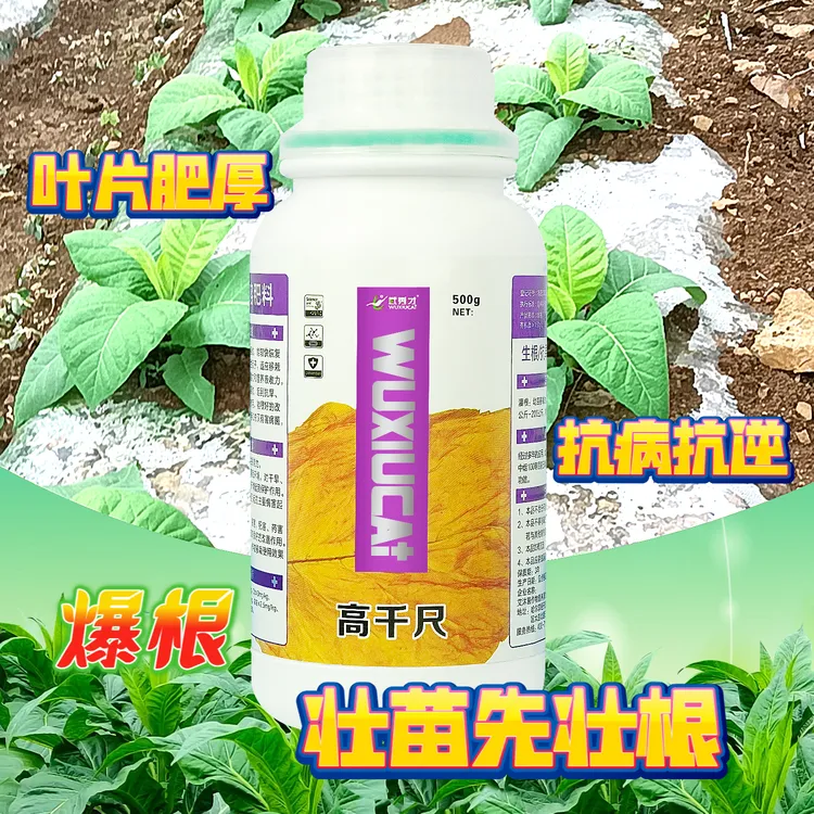 武秀才高千尺烤烟使用生根抗旱抗寒抗逆微生物菌剂水溶肥正品移栽