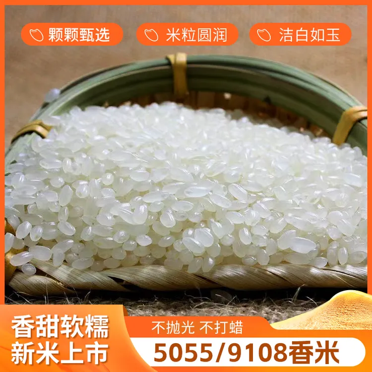 晨诚农家种植江苏苏北稻田米营养大米种植稻香米新鲜粮香米