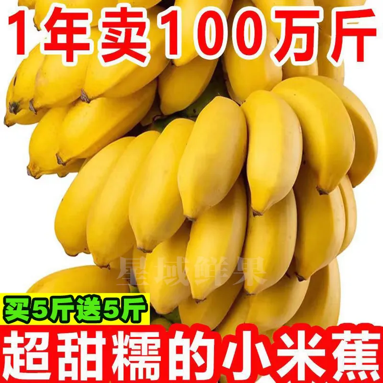 【产地直发】广西小米蕉正宗应季新鲜时令水果香蕉皇帝蕉2斤5斤9斤
