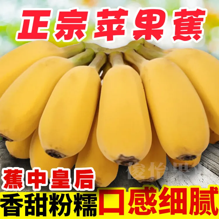 【粉丝福利】广西农家苹果蕉新鲜水果产地直发粉香蕉自然熟1/5/10斤