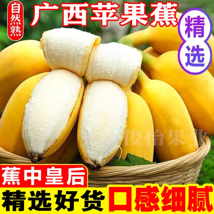 正宗广西苹果蕉产地直播3/5/9斤应季新鲜水果批发整箱自然熟香蕉商品图
