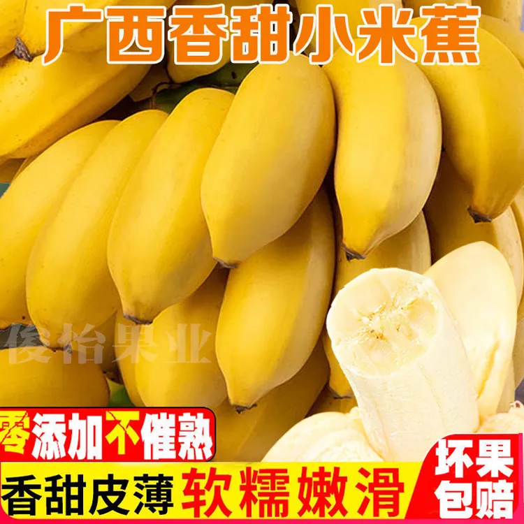 【星域生鲜】正宗广西小米蕉当季新鲜水果时令2-10斤产地直发小香蕉