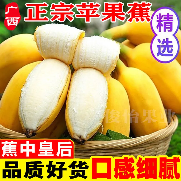 广西苹果蕉产地直发3/5/9斤批发整箱时令新鲜水果直播甜香蕉星域