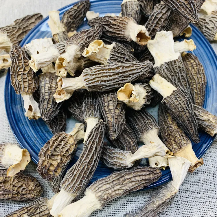 客都夫妇严选 头茬羊肚菌3-4cm滋补营养菌类干货无沙农产品