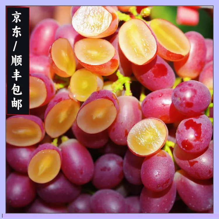 [京东/顺丰包邮达人专属]克伦生冰美人口口脆小糖豆无籽葡萄