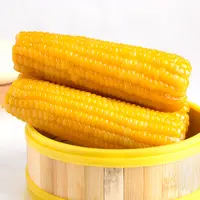 山西黄糯玉米8根单根220g+