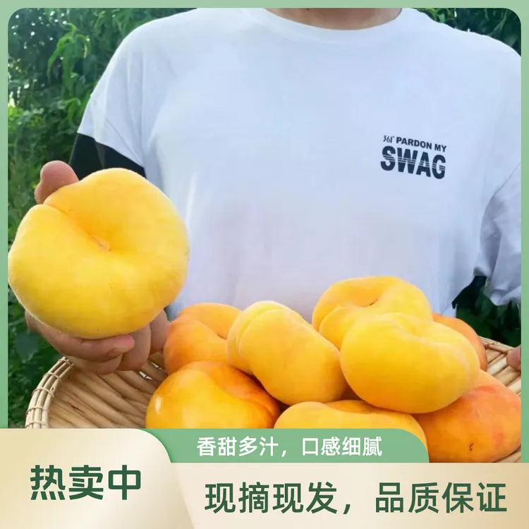 蒙阴黄毛蟠桃新鲜水果黄桃扁桃子毛桃蜜桃孕妇现摘黄金5斤包邮