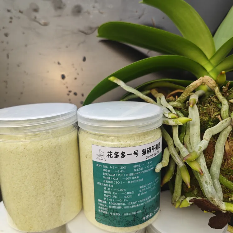 以色列进口花多多一号蝴蝶兰种植基地专用肥