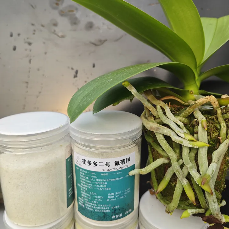 以色列进口花多多2号蝴蝶兰种植基地专用肥