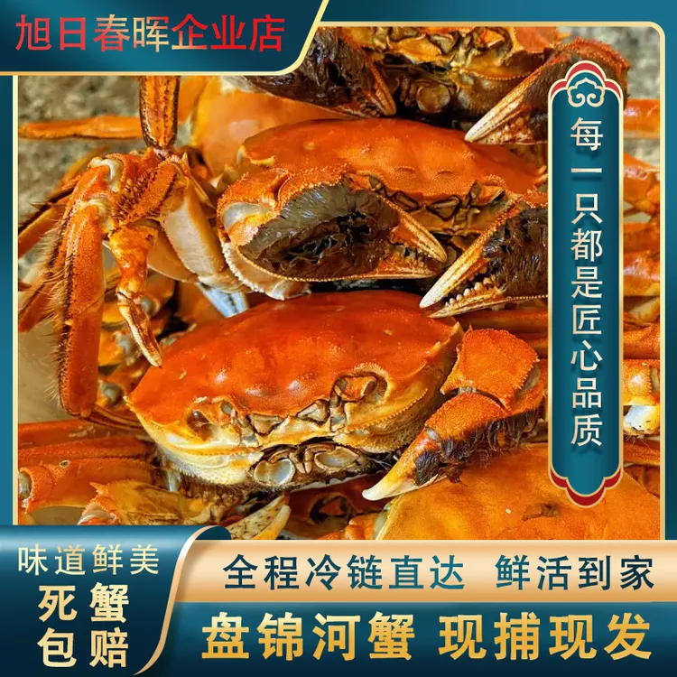 盘锦稻田蟹全母蟹鲜活美味礼盒装单只1.0-1.3两顺丰京东航空包邮