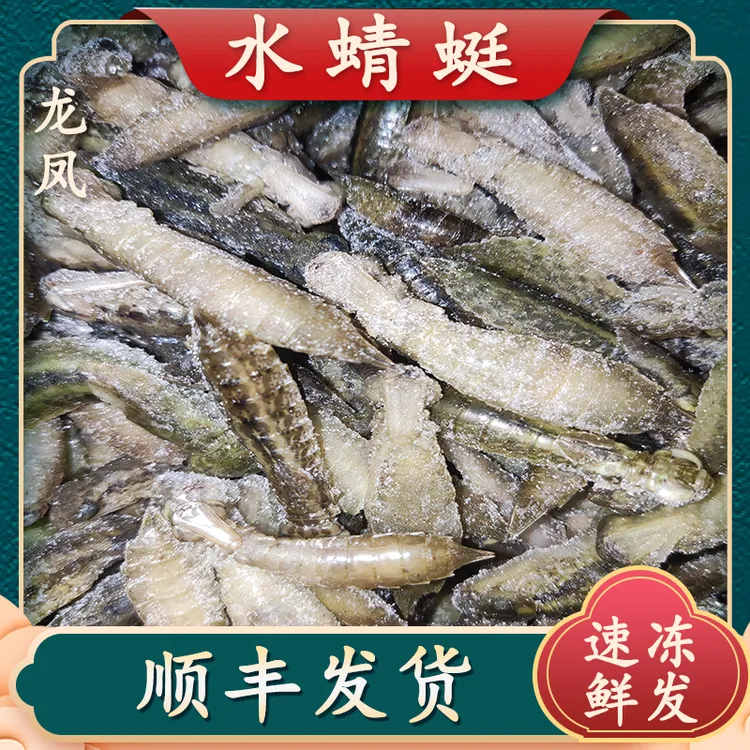 鬼蜻蜓水娄沟水蜻蜓长形蜻蜓长体水蜻蜓冷冻蜻蜓蛹幼虫水泵虫顺丰