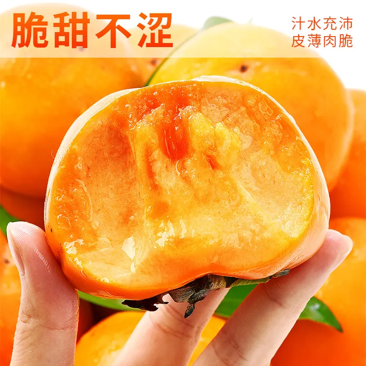 巧克力脆柿子新鲜水果当季应季陕西火晶冰糖脆硬柿子批发整箱包邮