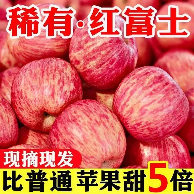 正宗洛川苹果陕西红富士当季新鲜脆甜多汁产地直发