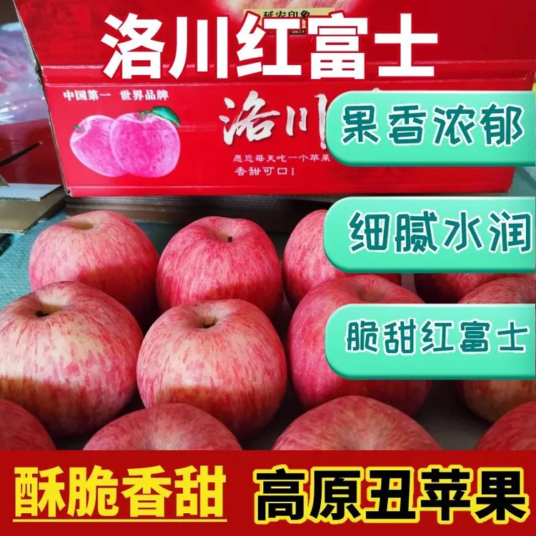 沁尔果陕西当季新鲜红富士水果正宗洛川苹果脆甜7斤/12斤/14斤邮