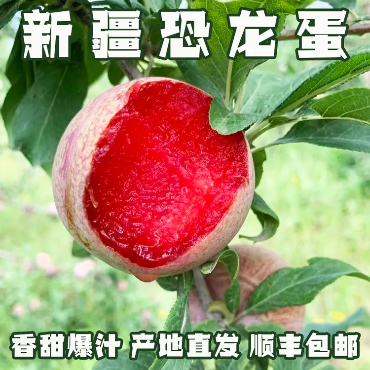 新疆恐龙蛋正宗产地香甜爆汁3斤礼盒生态甜杏李味馨新鲜采摘顺丰