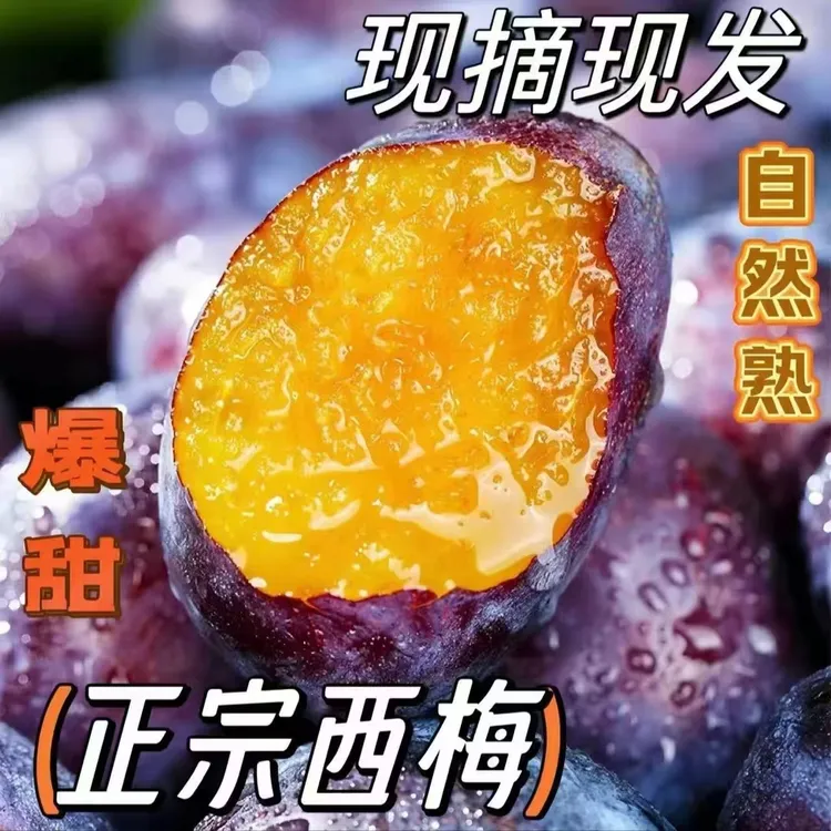 【树上现摘】正宗新疆西梅新鲜带箱3斤西梅新鲜水果爆甜大果发顺1斤