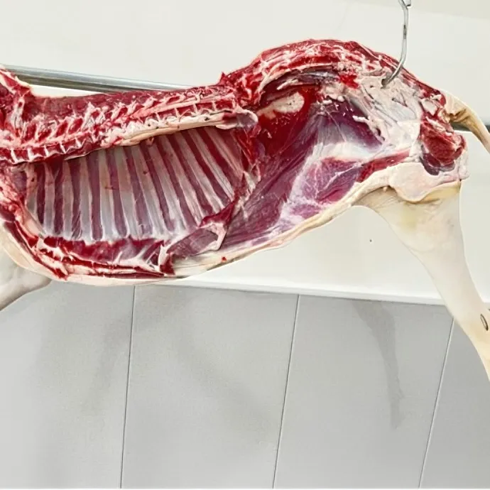 邓州本地山羊，原切整只羊，半只羊