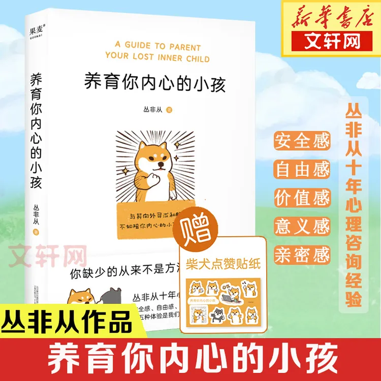 养育你内心的小孩 丛非从十年心理咨询梳理 疗愈你的内在小孩 关