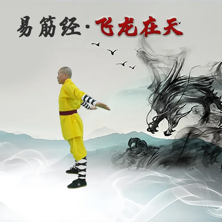 易筋经·飞龙在天  零基础学习易筋经男女老少皆可习练  简单易学