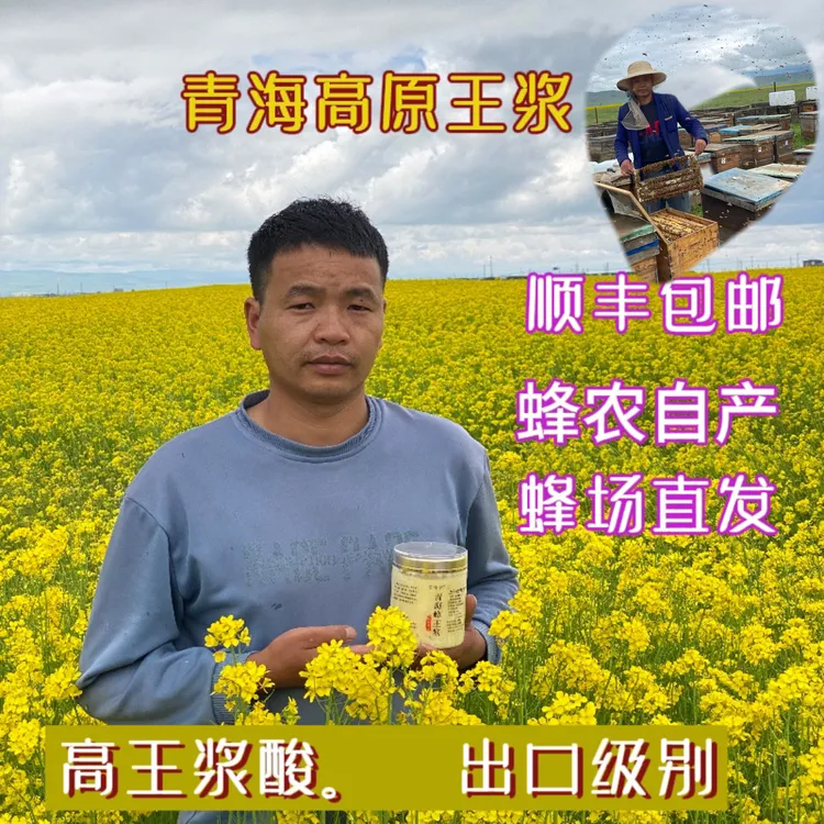 2024年青海高原头茬蜂王浆蜂初乳蜂场直采假一赔万蜂农活性