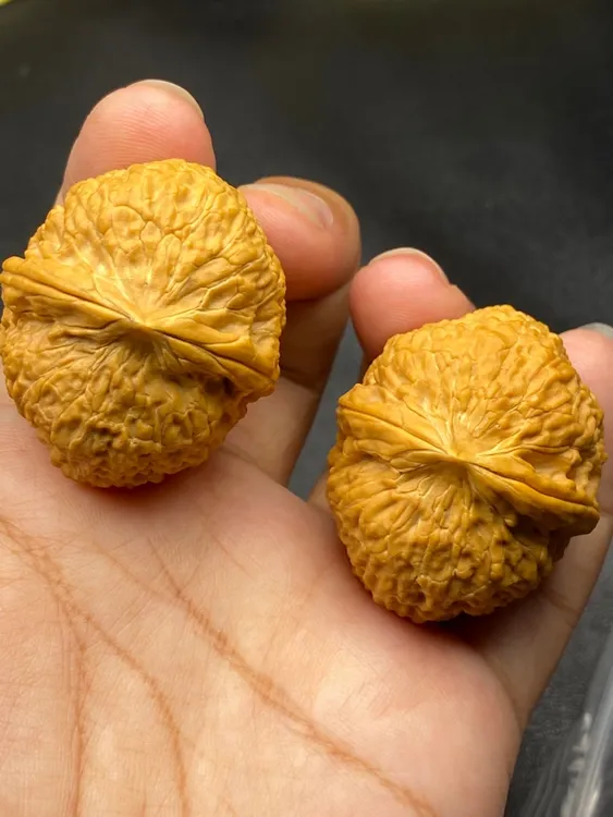 云南铁核桃 40-41尺密纹狮子头 发货图片同款随机一对