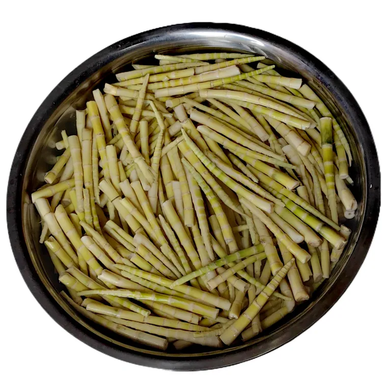 云南纯天然当季野生竹笋子大关新鲜嫩笋尖火锅食材农家干笋干包邮
