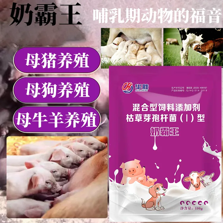 奶霸王适用猪牛羊狗养殖使用产品产后增奶催奶奶水不足奶质差饲料