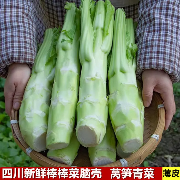 四川棒棒青菜新鲜芥菜笋菜脑壳大脑壳莴笋青菜苔泡菜原料时令蔬菜
