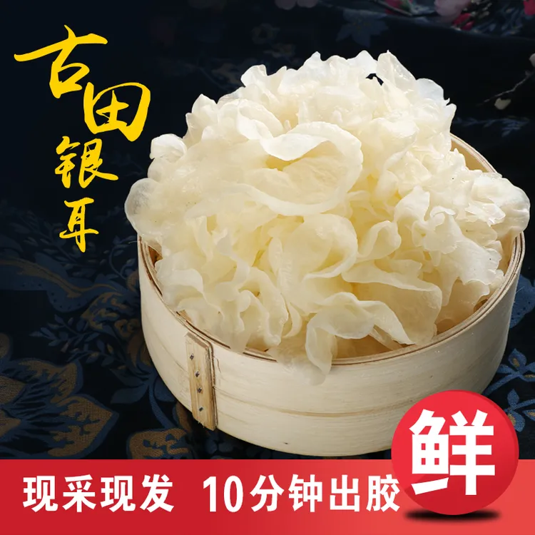 【顺丰包邮】古田天然新鲜银耳 6朵盒装新鲜采摘白木耳雪耳活鲜糯耳