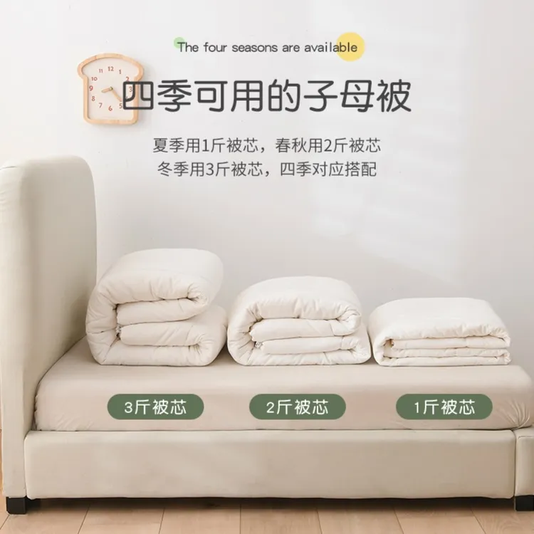 幼儿园被子春秋款棉花垫褥芯婴儿童床大豆子母夏凉被入园专用内胆