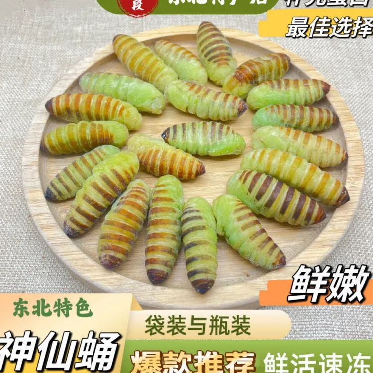 东北山珍土特产神仙蛹没有皮