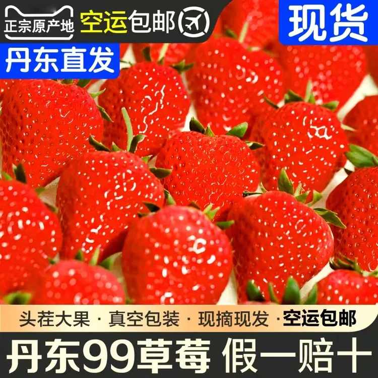 「牛奶草莓」正宗丹东九九草莓红颜奶油草莓产地直发空运包邮现采