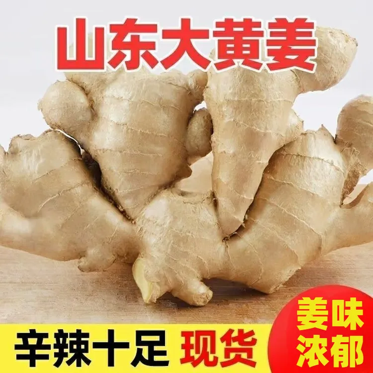 山东正宗水洗晒干大姜大号生姜老姜大黄姜新鲜大块姜水洗风干黄姜