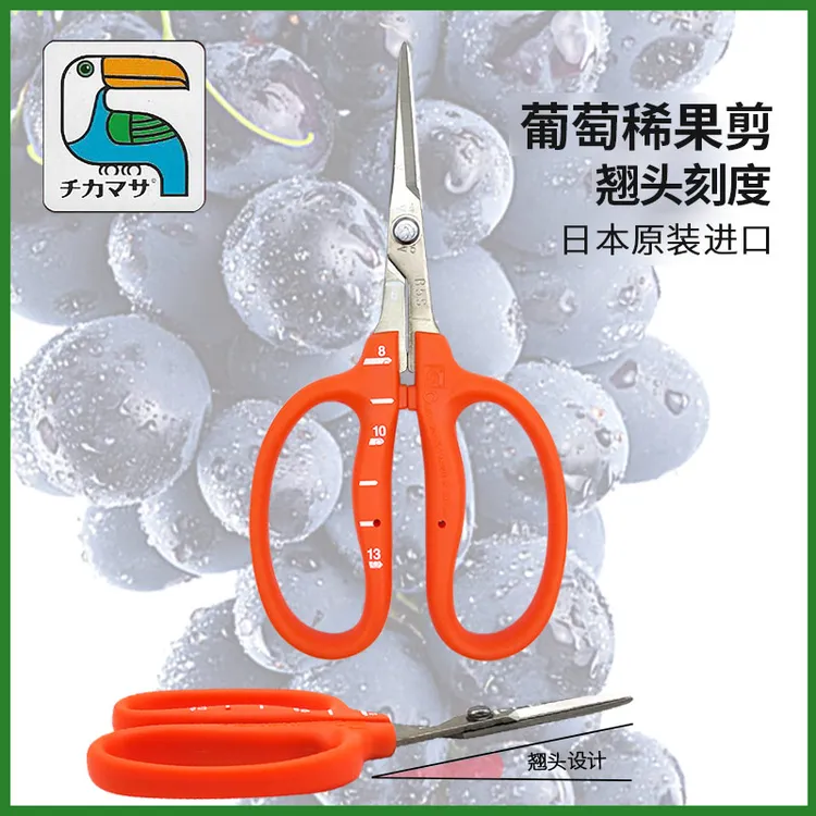 日本近正大嘴鸟葡萄疏果剪 阳光玫修果剪刀