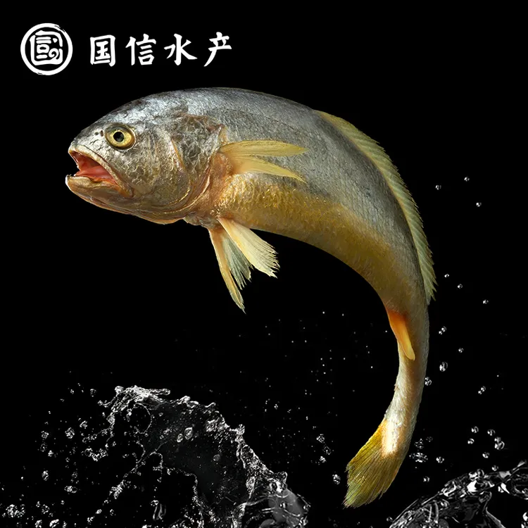 国信【冰鲜】国信水产 深海野游大黄鱼 500-600g/条*2条+赠300g/条