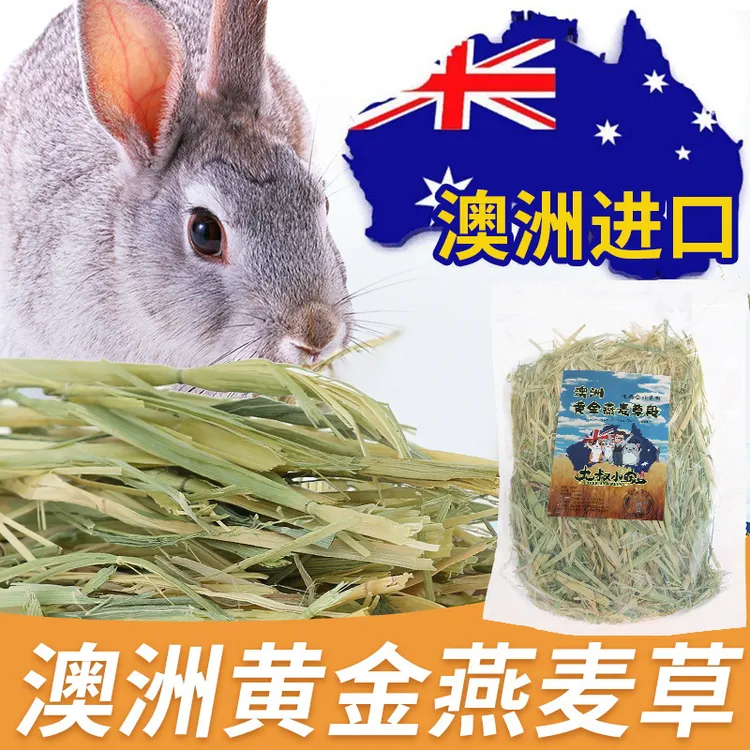 【留学生】澳麦澳洲黄金燕麦草大叔小宠物兔子龙猫荷兰猪晒干主进口