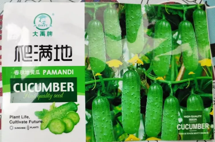 爬满地不搭架水果黄瓜种子