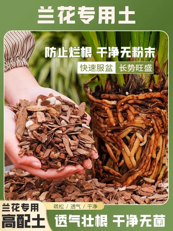 兰花专用植料 养根 爆根