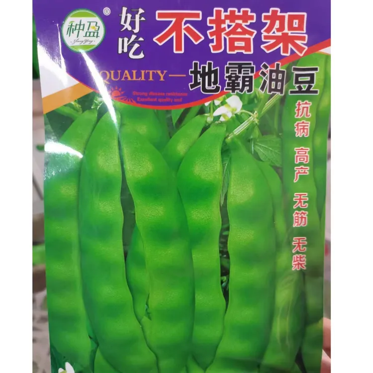 种盈地霸油豆豆角种子