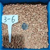 烧制硅藻土颗粒 盆面料 兰花植料 透气颗粒料 高品质烧制