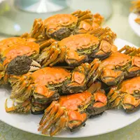 黄河口大闸蟹 母2.3-2.5两+公3.2-3.5两 8只组合装 活蟹 顺丰发货