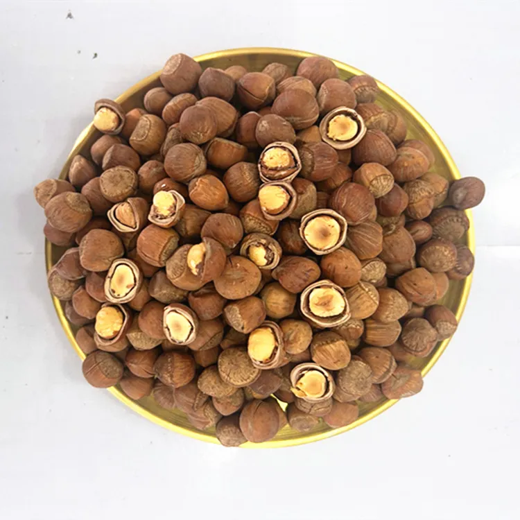 2025年黑河新榛子东北柴火炒熟榛子（自然生长榛子个头大小不一）