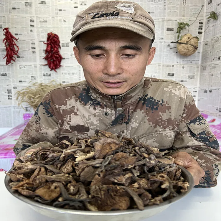 东北大勇2025新榛蘑头茬榛蘑大小混装