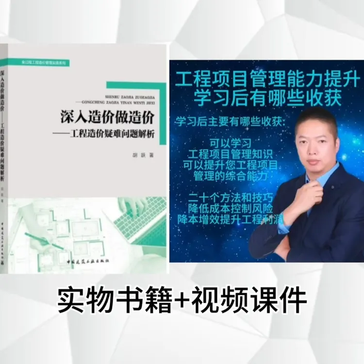 深入造价做造价工程造价疑难问题解析书籍