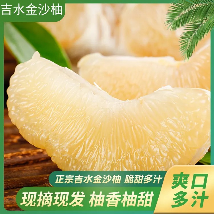 正宗井冈蜜柚江西吉水金沙柚 9~10斤精品礼盒装果园基地现摘现发